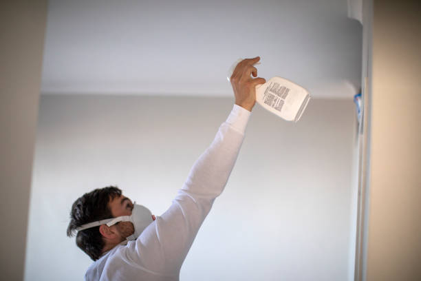Best Residential Mold Removal  in Newark, DE